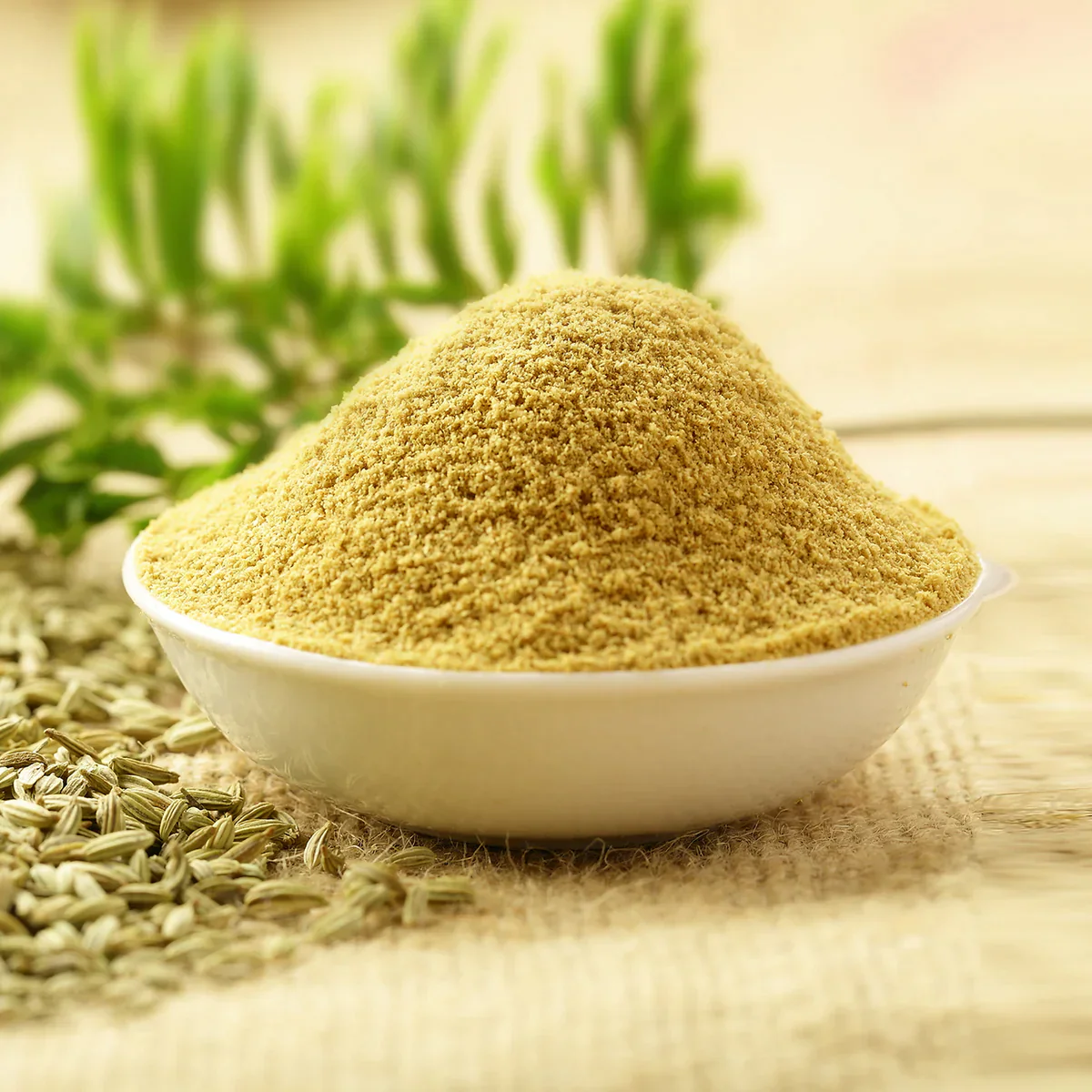 Wheat Flour