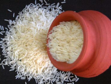 Wheat Flour
