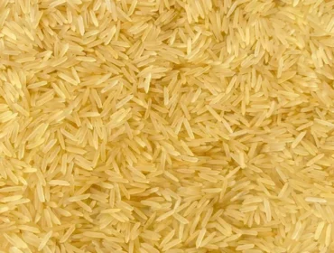 Wheat Flour