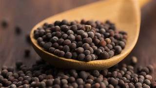 Wheat Flour